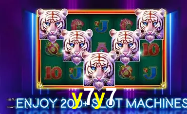 y7y7 Plataforma - y7y7 visual 1